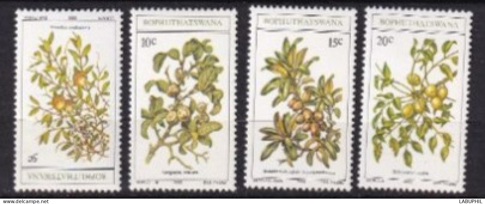 BOPHUYHATSWANA MNH 1980 Fleurs - Bophuthatswana