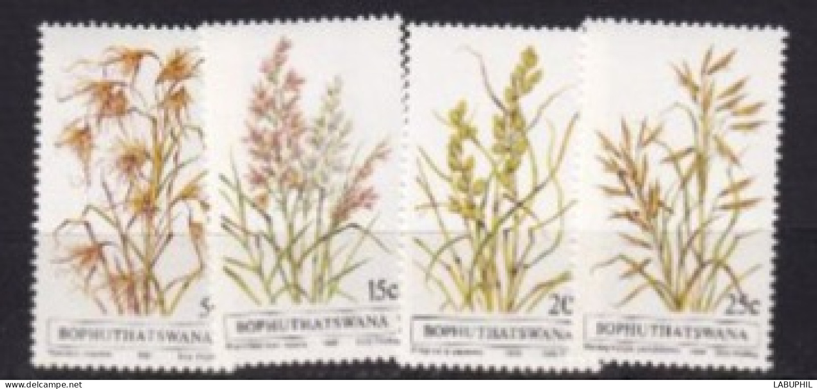 BOPHUYHATSWANA MNH 1981 Fleurs - Bofutatsuana