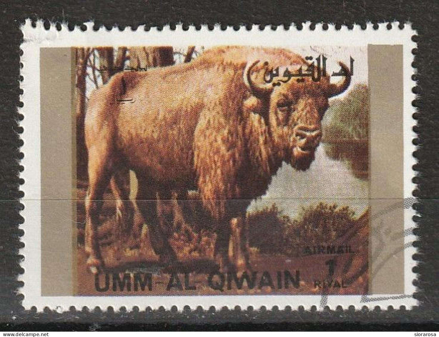 Umm Al Qiwain 1972 Animali Selvaggi - Wild Animals European Bison (Bos Bonasus) Bisonte Europeo CTO - Koeien