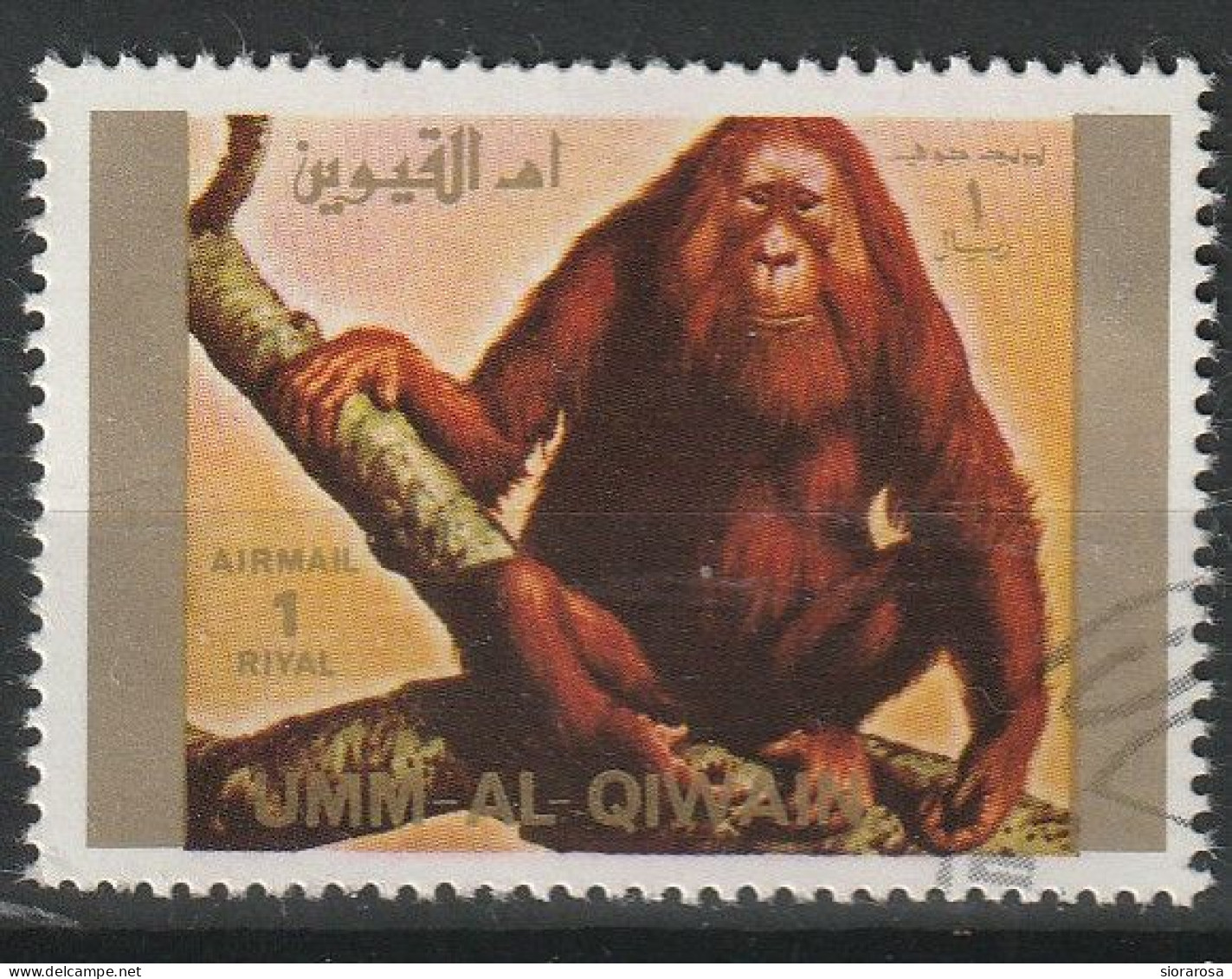 Umm Al Qiwain 1972 Animali Selvaggi - Wild Animals Sumatran Orangutan (Pongo Sp.) CTO - Chimpancés