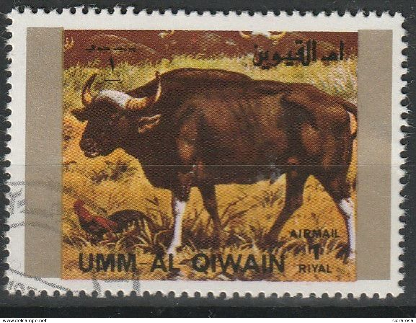 Umm Al Qiwain 1972 Animali Selvaggi - Wild Animals Gaur (Bos Gaurus) CTO - Scimpanzé