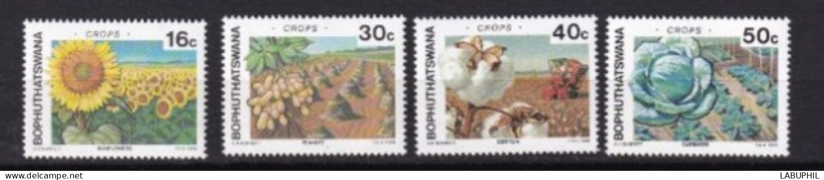 BOPHUYHATSWANA MNH 1988 Vegetaux - Bophuthatswana