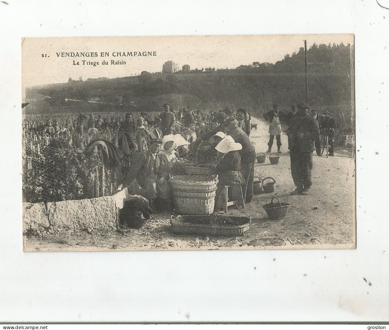 VERZY (MARNE) 21 VENDANGES EN CHAMPAGNE LE TRIAGE DU RAISIN 1917 - Verzy