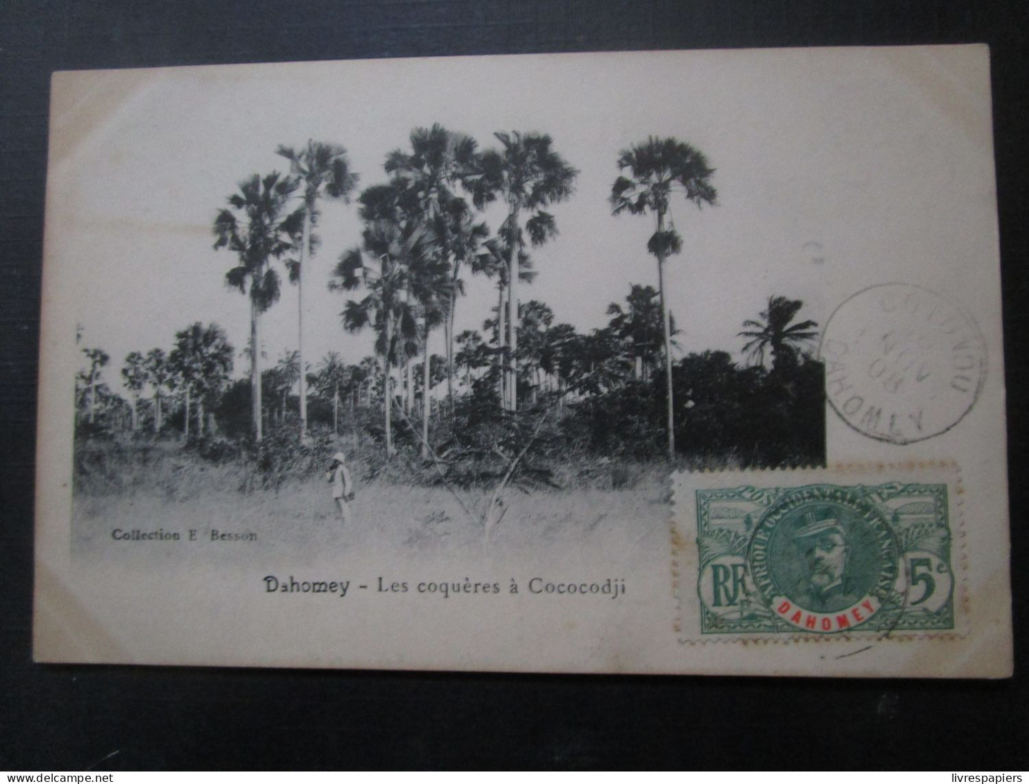 Benin Cococodji Les Coqueres Cpa Timbrée Dahomey - Benin