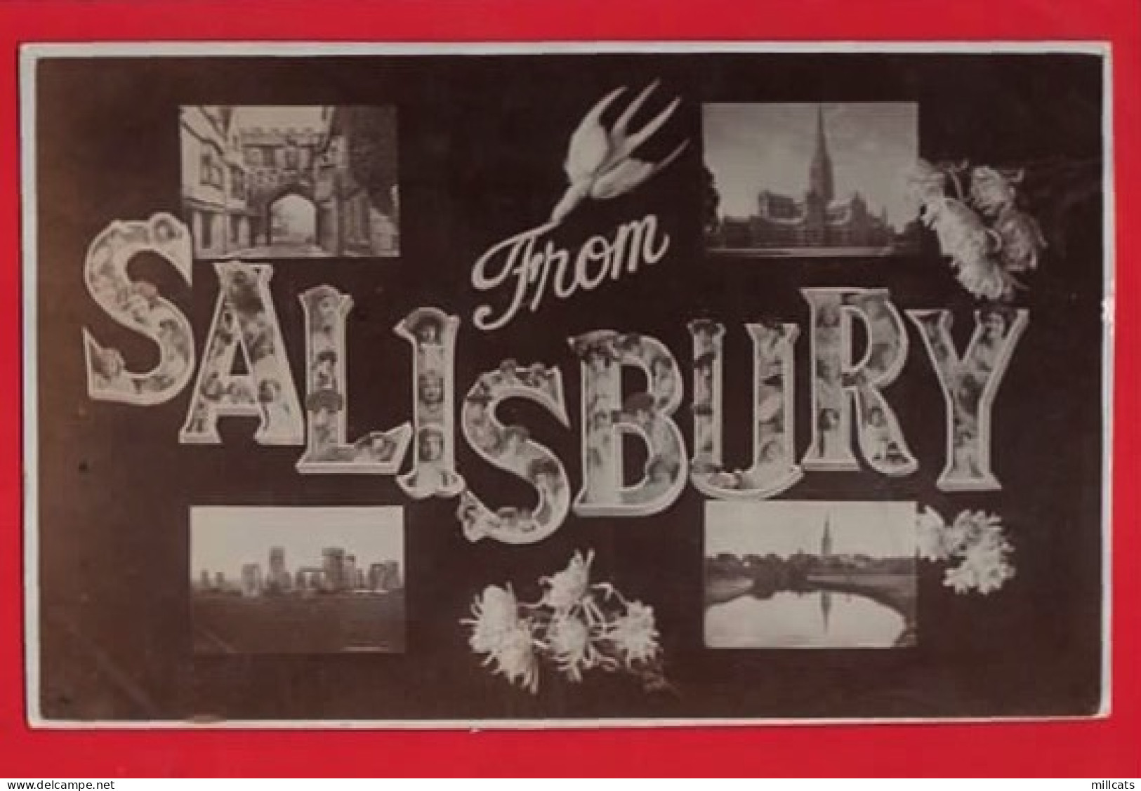 UK WILTSHIRE  SALISBURY   LARGE LETTER GREETING   RP + VIEWS  Pu 1908 - Salisbury