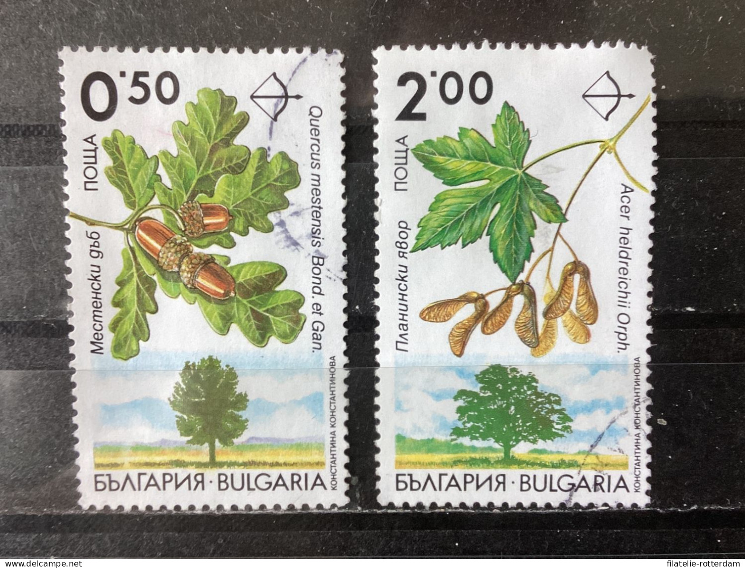 Bulgaria / Bulgarije - Set Trees 1992 - Oblitérés