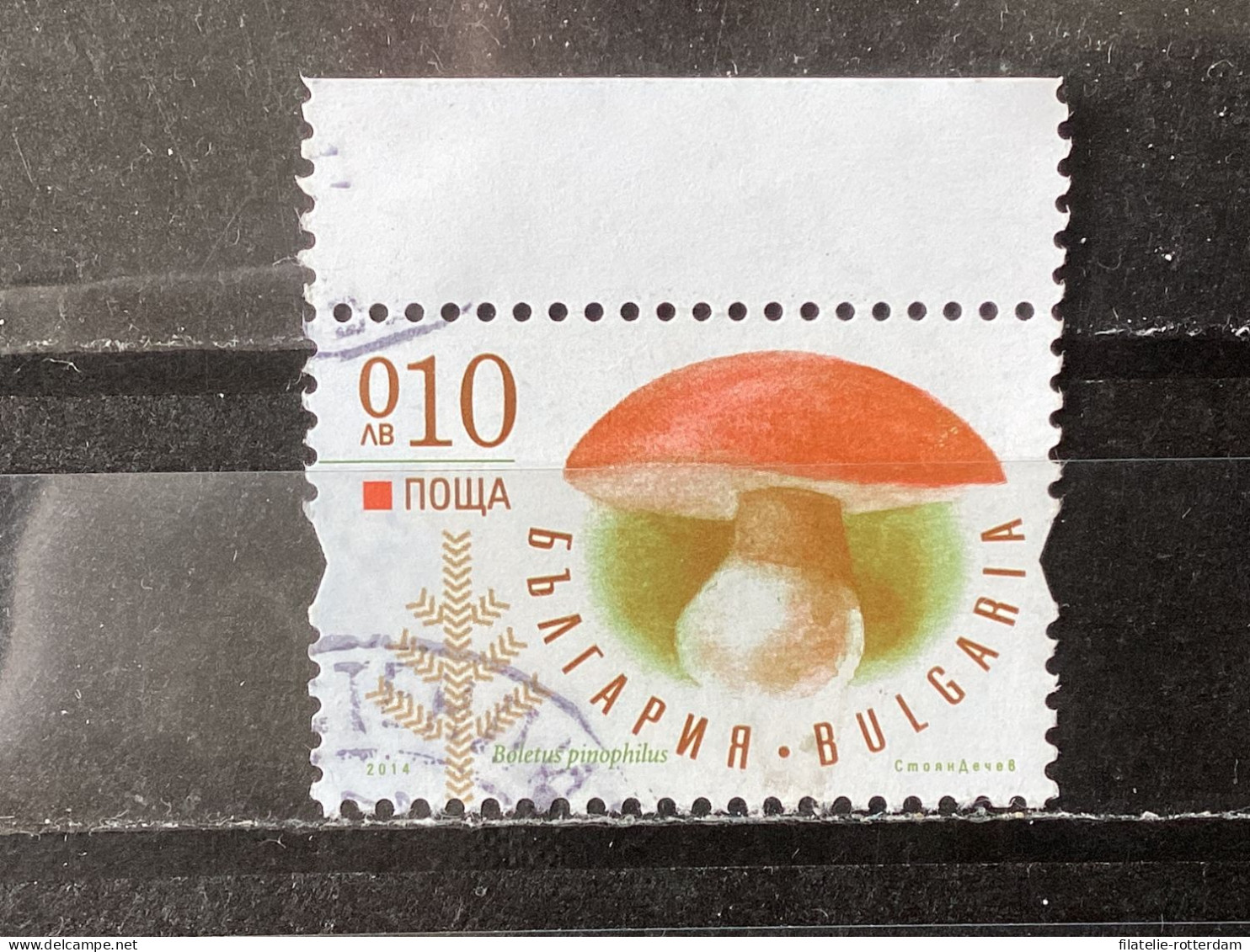 Bulgaria / Bulgarije - Mushrooms (0.10) 2014 - Oblitérés