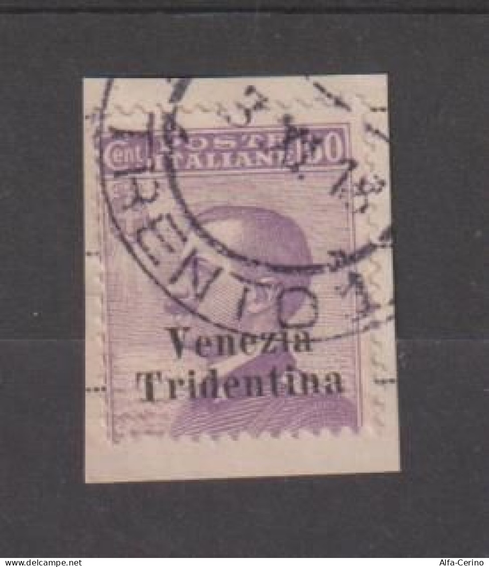 TRENTINO - A.A.:  1918  SOPRASTAMPATO  -  50 C. VIOLETTO  SU  FRAMMENTO  -  SASS. 26 - Trentino