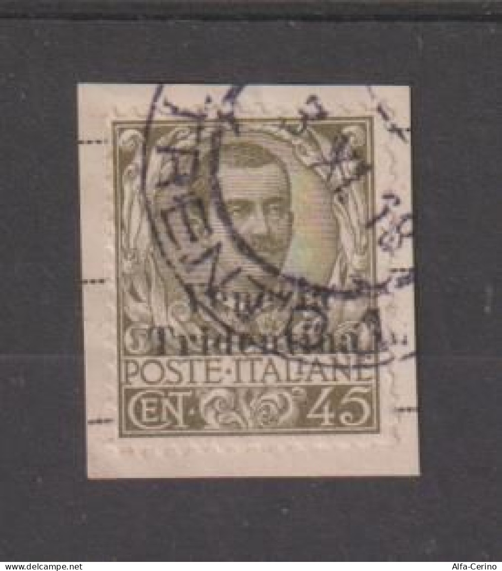 TRENTINO - A.A.:  1918  SOPRASTAMPATO  -  45 C. OLIVA  SU  FRAMMENTO  -  SASS. 25 - Trente