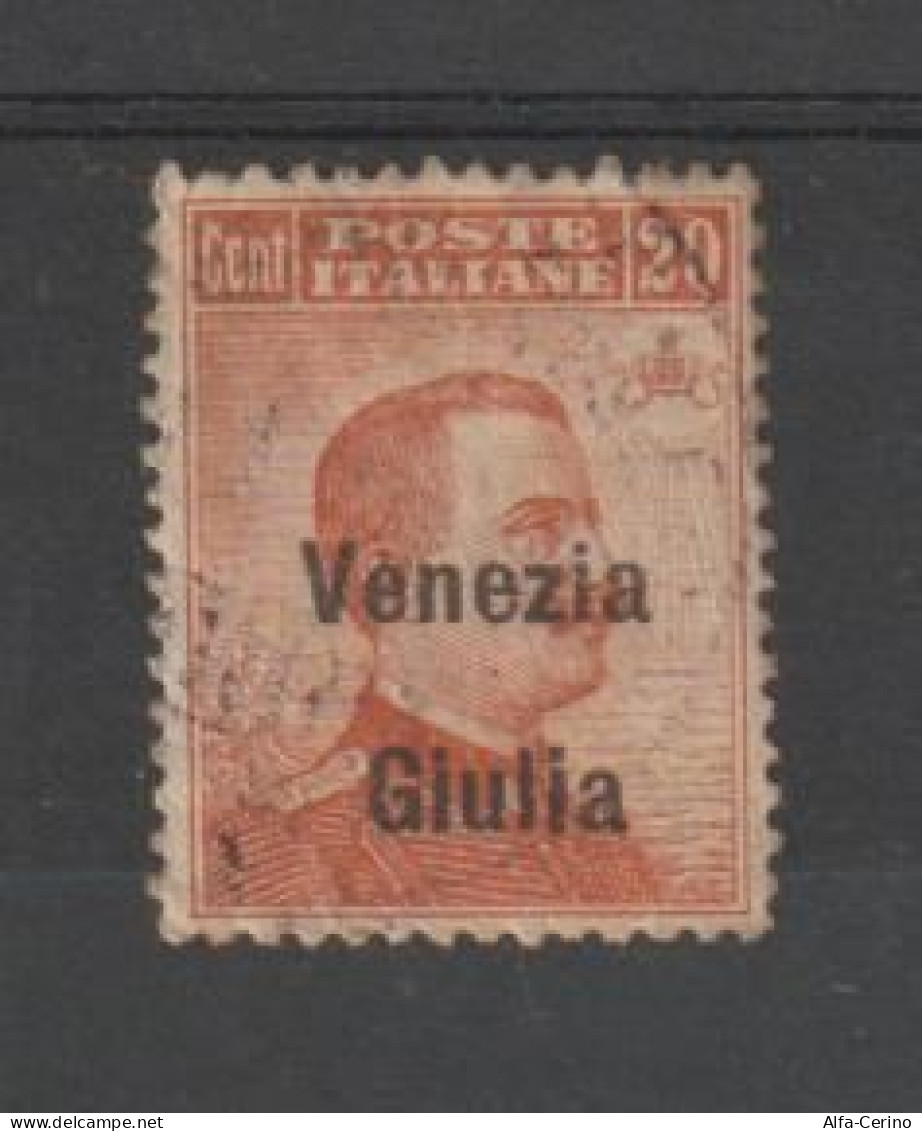 VENEZIA  GIULIA:  1918/19  SOPRASTAMPATO  -  20 C. ARANCIO  US. -  SASS. 23 - Vénétie Julienne