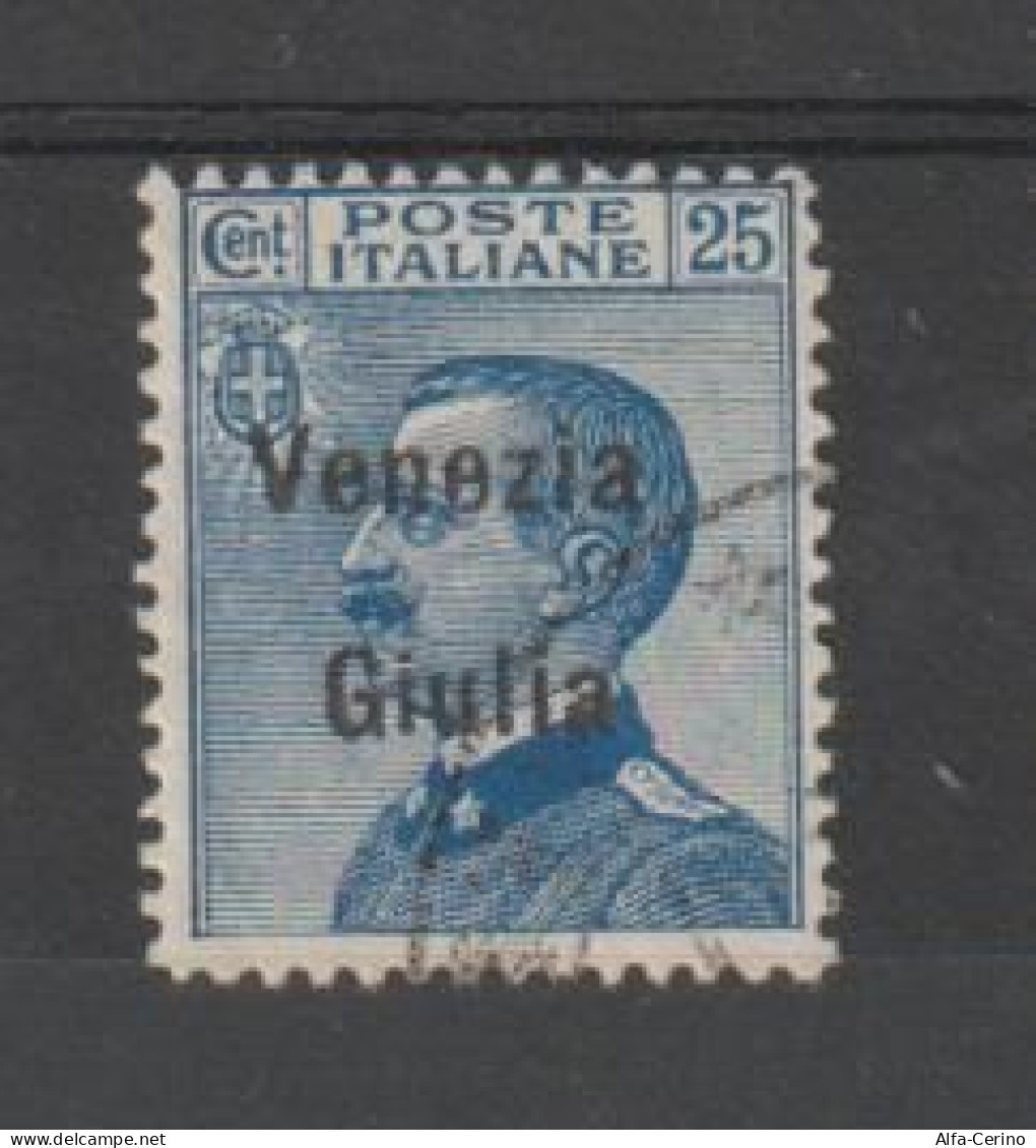 VENEZIA  GIULIA:  1918/19  SOPRASTAMPATO  -  25 C. AZZURRO  US. -  SASS. 24 - Vénétie Julienne