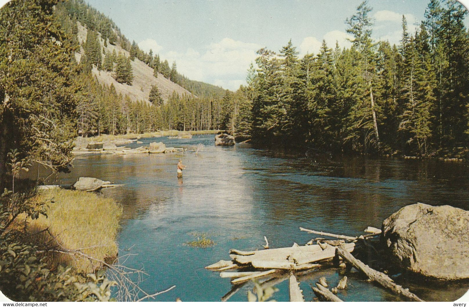 Placid Madison River, Yellowstone National Park, Wyoming Famous For Fishing Principal Drainage Of Western Section Park - Yellowstone