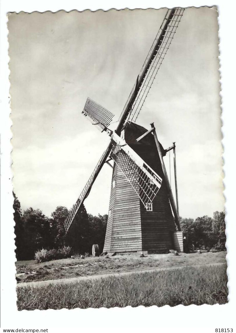 Windmolen Uit Schulen  DOMEIN BOKRIJK - Herk-de-Stad