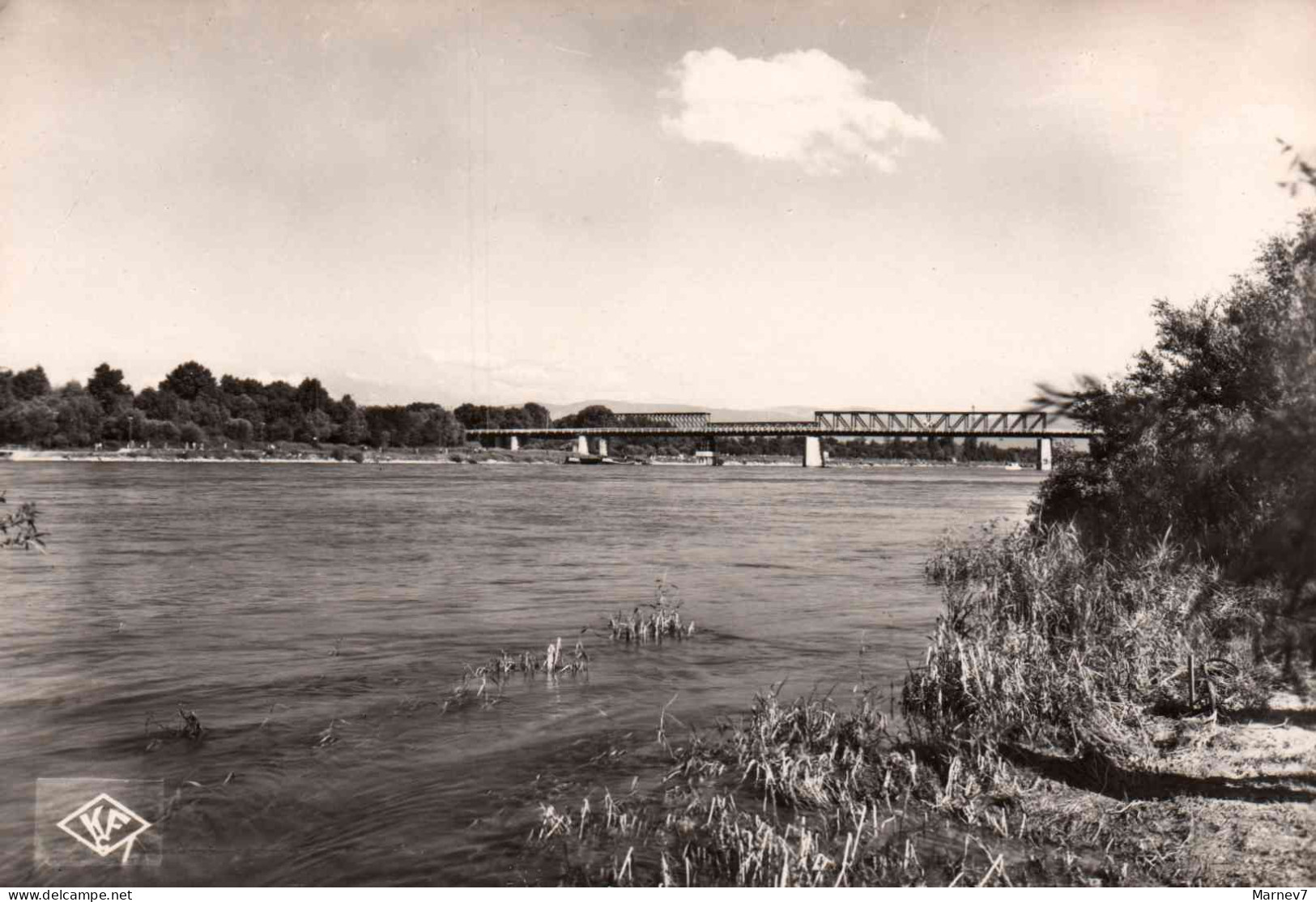 68 Haut Rhin CPSM - Le Rhin Près De NEUF-BRISACH - Le Nouveau Pont - 1956 - Neuf Brisach