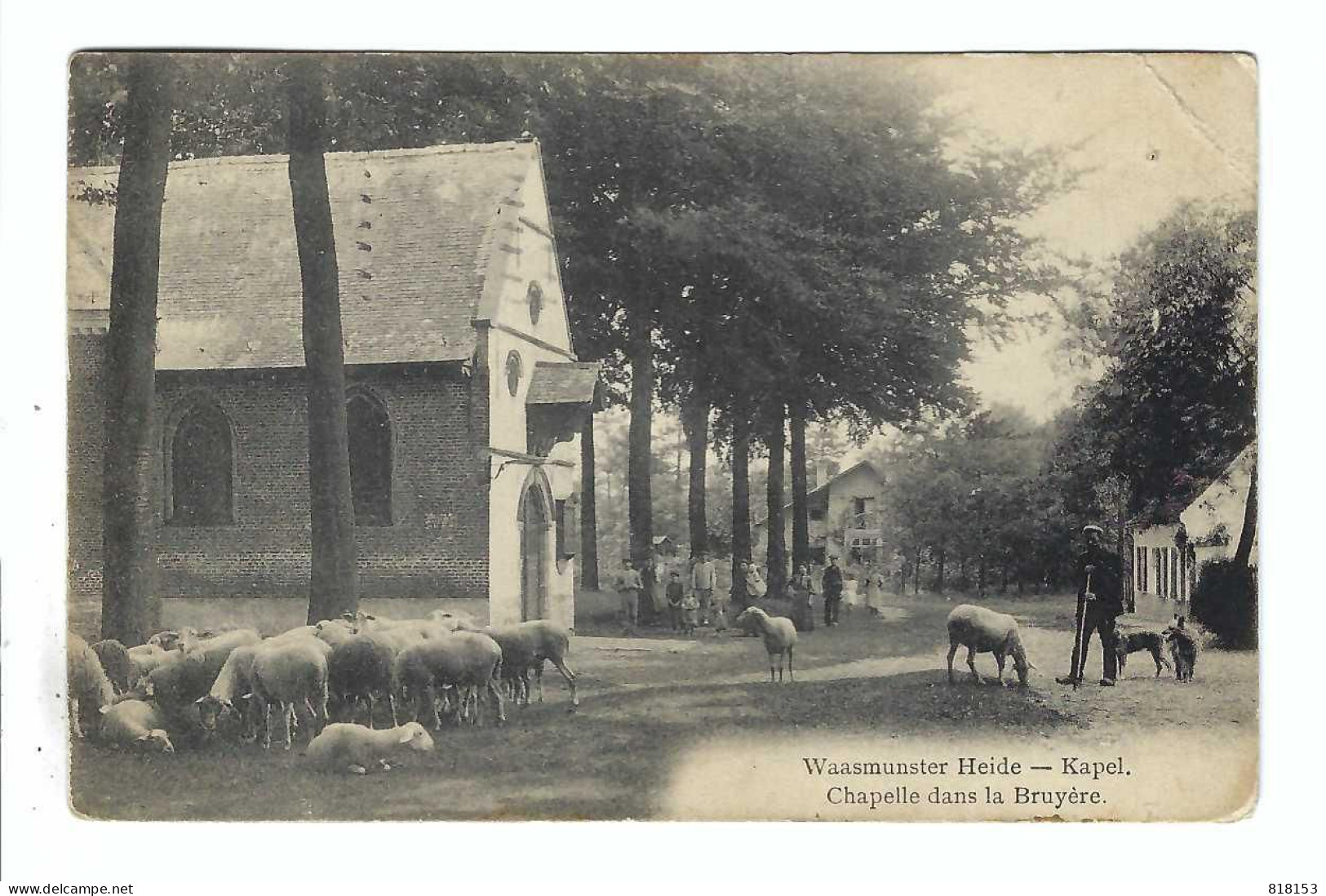 Waasmunter  Heide -  Kapel  Chapelle Dans La Bruyère 1915  DEUTSCHES REICH - Waasmunster