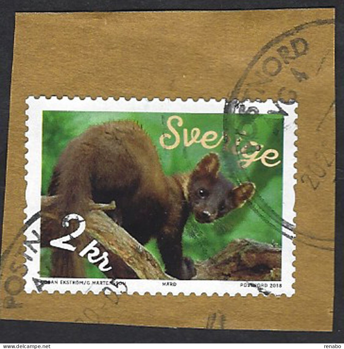 Svezia, Sweden 2018; Martora, Martre, Marten (Martes Martes), Famiglia Mustelidae, Stamp On Cover Fragment - Gebraucht