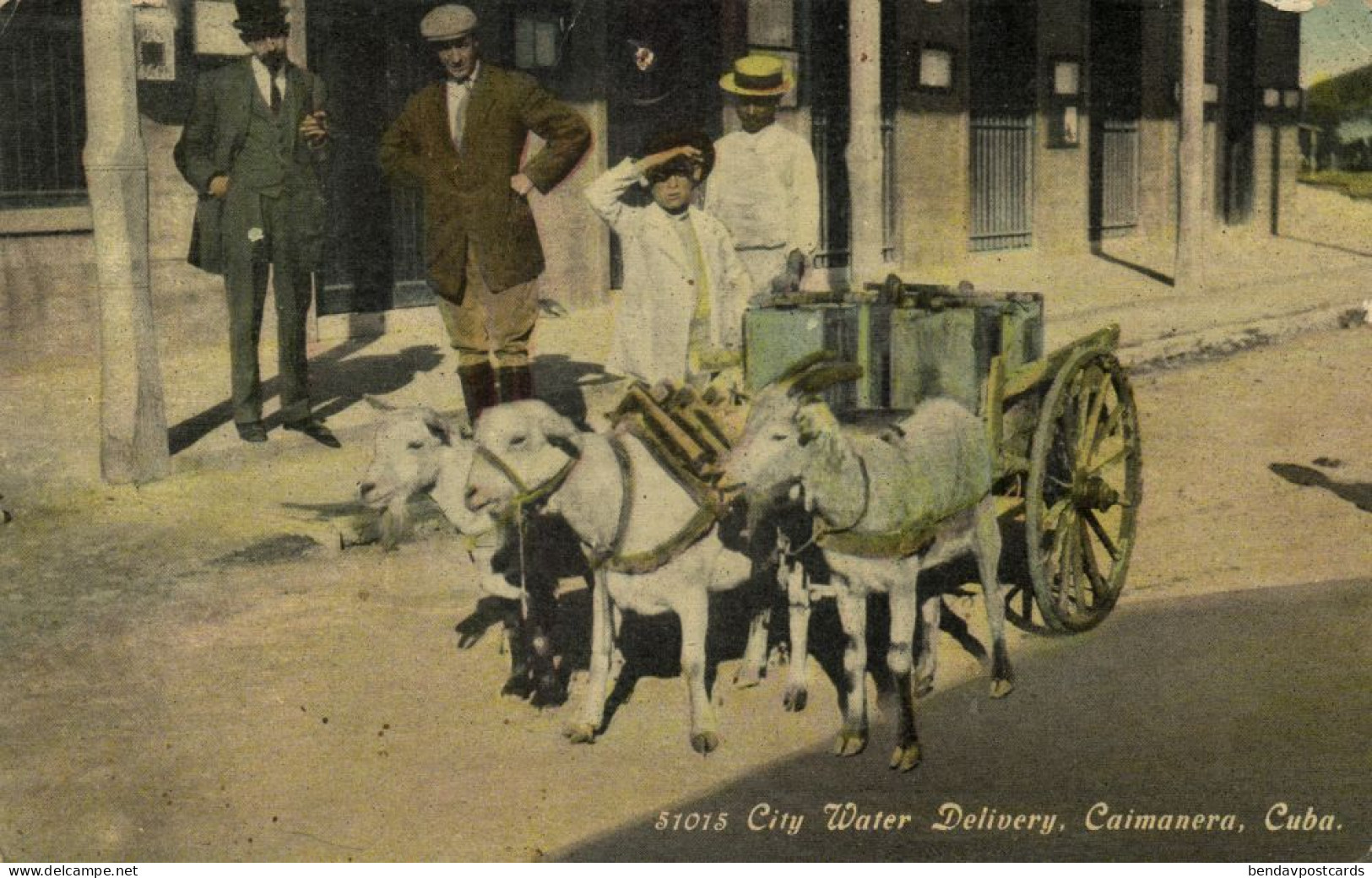 Cuba, CAIMANERA, City Water Delivery By Goat Cart (1910s) Postcard - Cuba