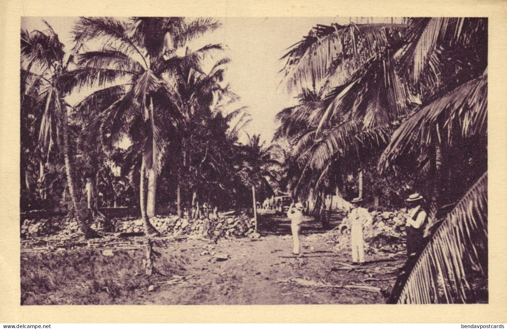 Cuba, HAVANA, Cuban Landscape (1930s) Postcard - Cuba