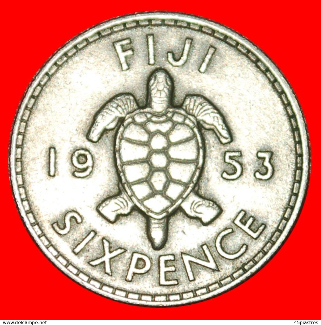 * GREAT BRITAIN (1953-1967): FIJI  6 PENCE 1953 TURTLE! ELIZABETH II (1953-2022)  · LOW START ·  NO RESERVE! - Fidji