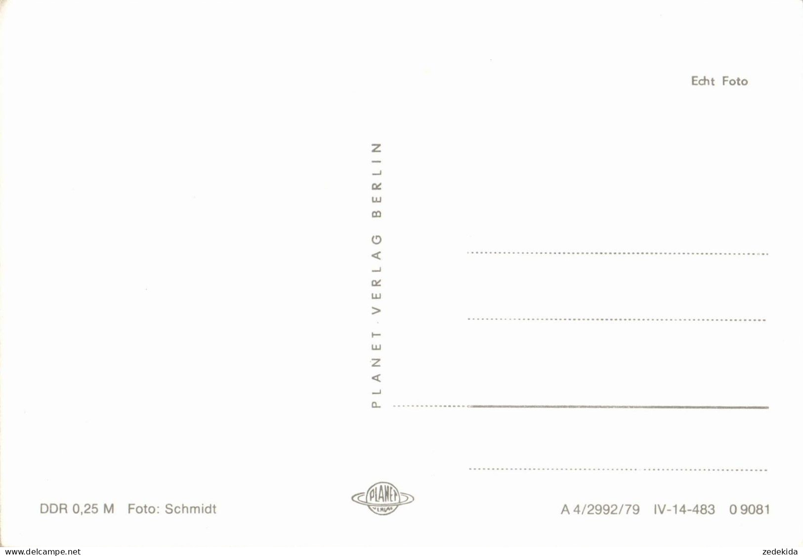 G8199 - TOP Glückwunschkarte Schulanfang - Mädchen Zuckertüte - Verlag Planet DDR - Einschulung