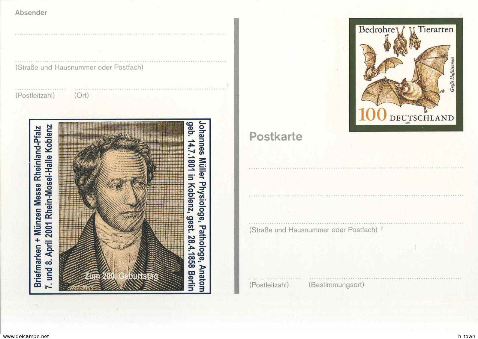 131  Grand Rhinolophe: Entier (c.p.) D'Allemagne - Greater Horseshoe Bat Imprinted Stamp Of Stationery Pc. Chauve-souris - Vleermuizen