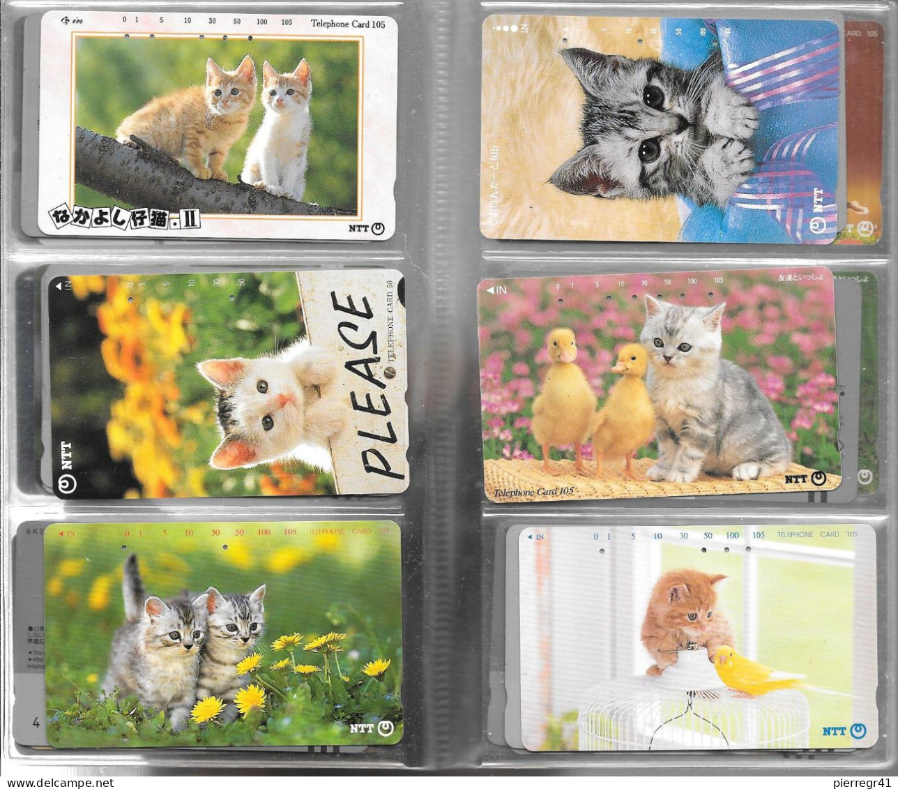 40 CARTES-MAGNETIQUE-JAPON-THEME-CHATONS-TBE - Gatti