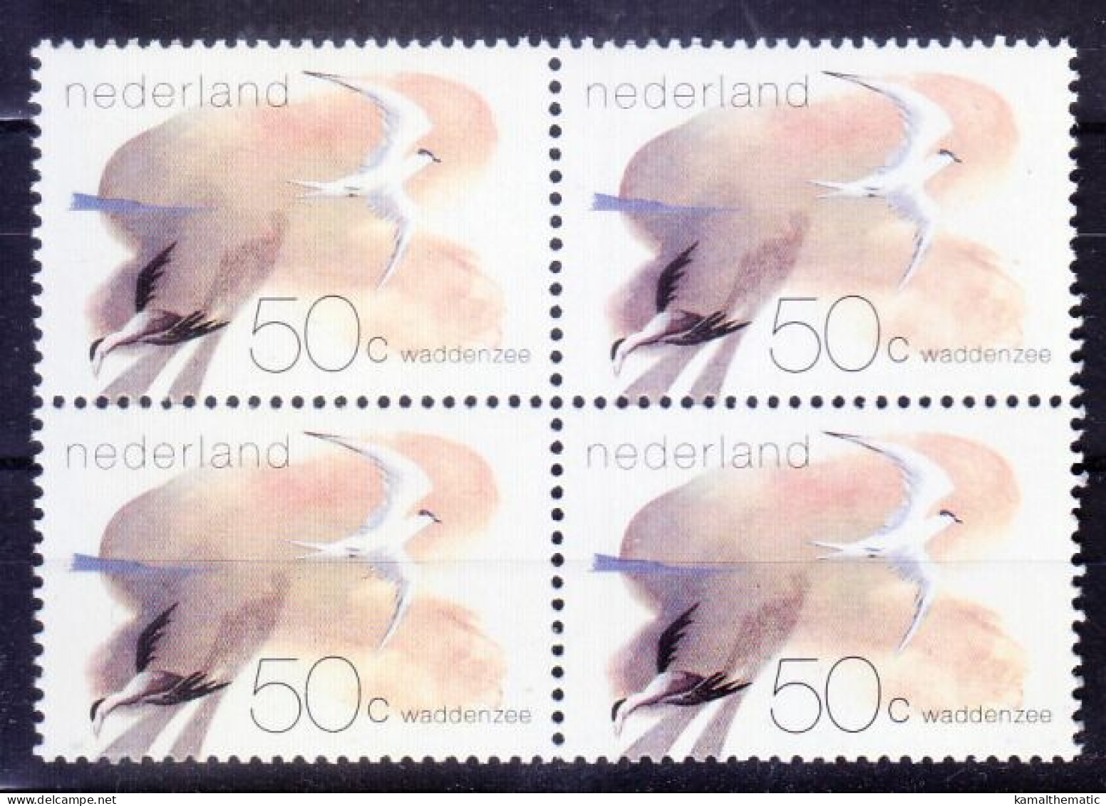 Netherlands 1982 MNH Blk 4, Birds, Sandwich Tern, Common Eider - Albatros