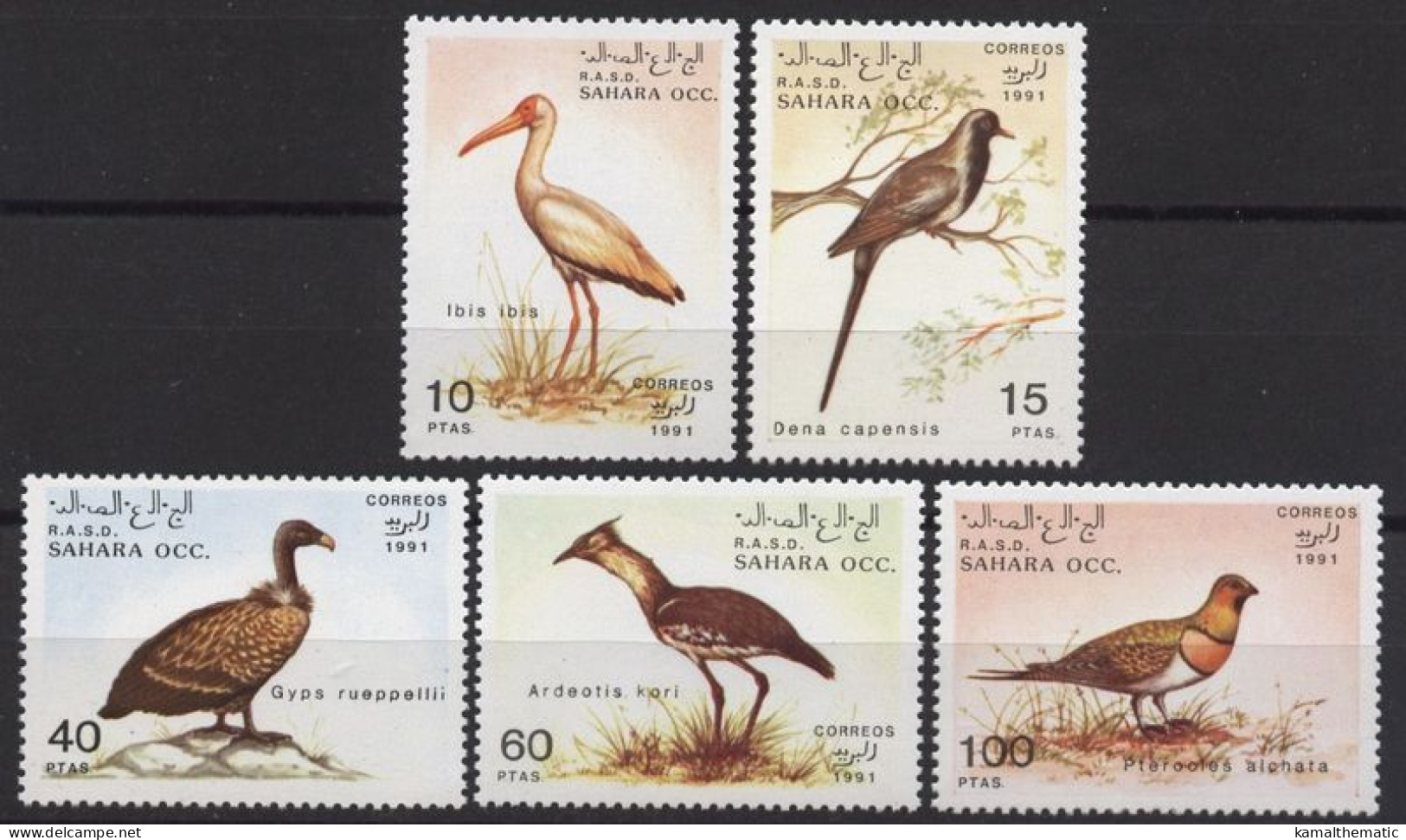 Sahara Occidental 1991 MNH 5v, Birds, Vulture, Stork, Kori Bustard, Sandgrouse - Vignettes De Fantaisie