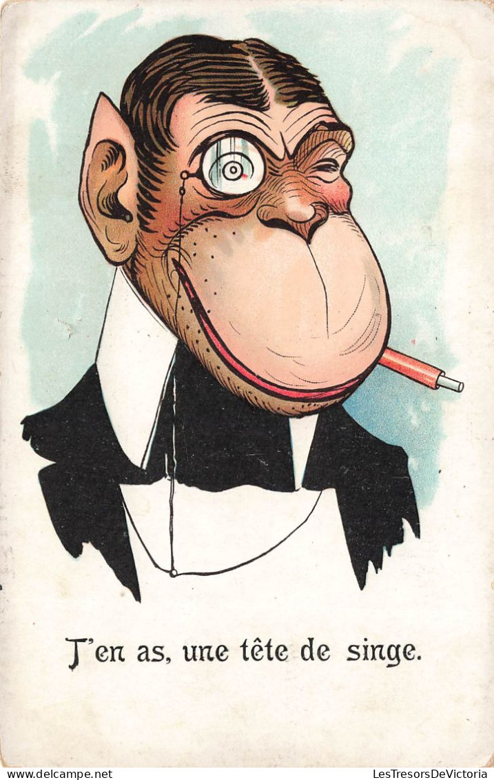 ILLUSTRATEUR - T'en A Une Tête De Singe - Colorisé - Carte Postale Ancienne - Other & Unclassified