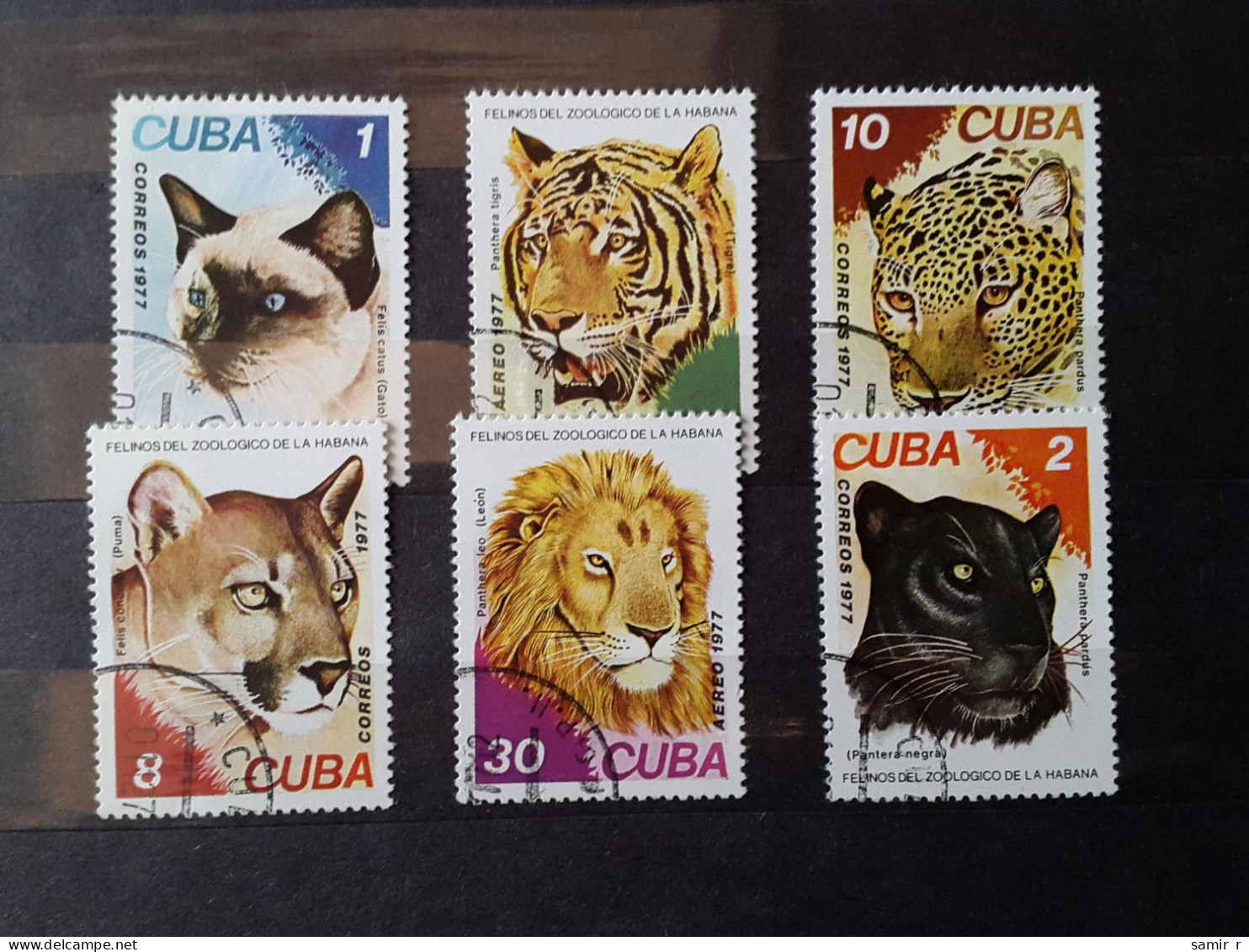 1977	Cuba Cats (F72) - Usados