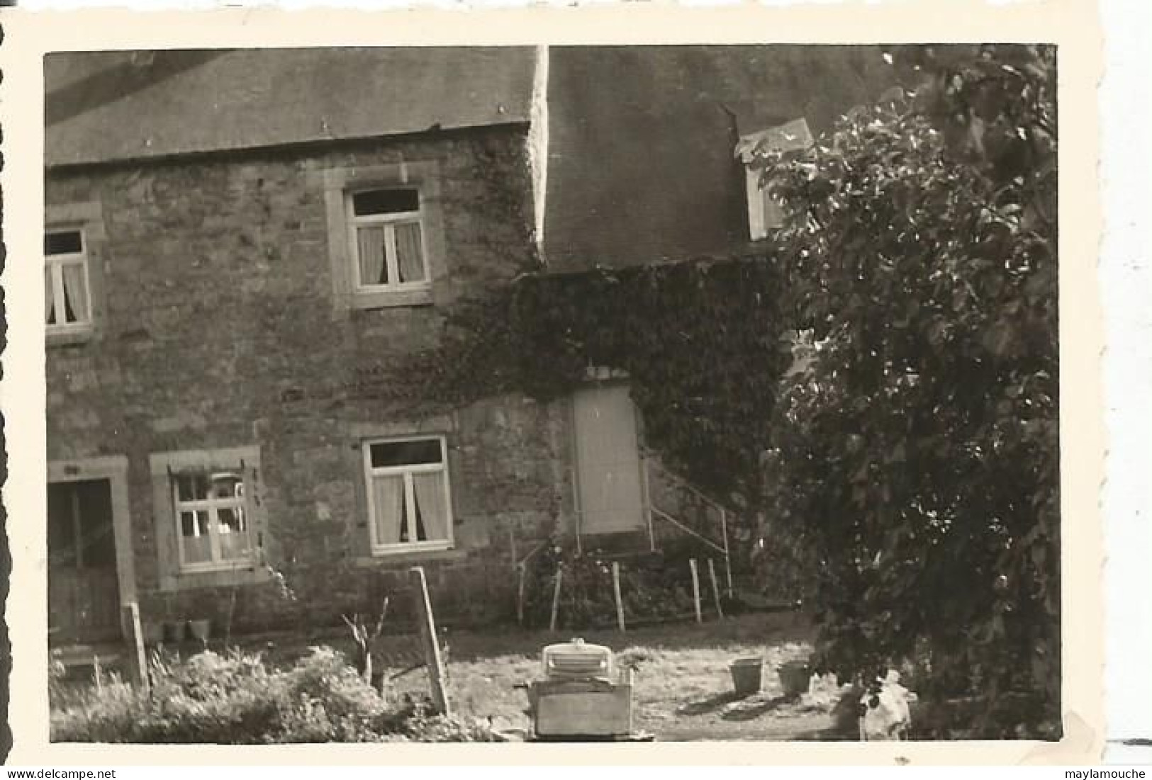 Celles Coin Des Lavandieres ( Photo 6x9 - Celles