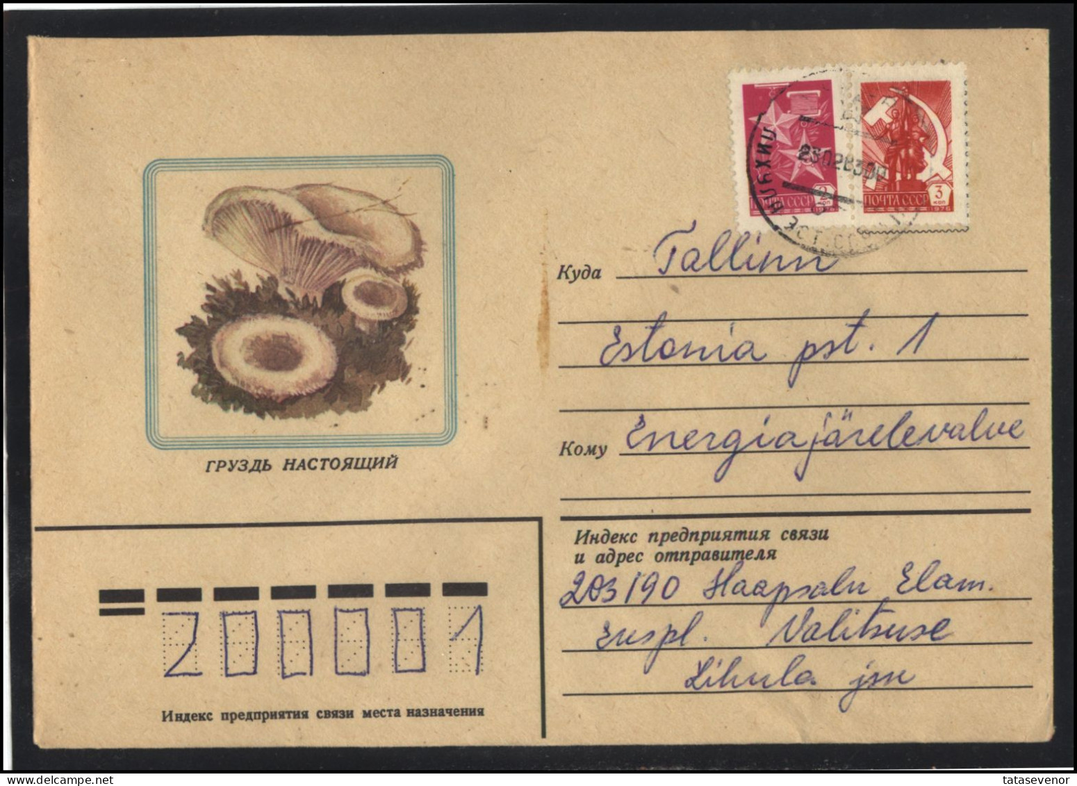 RUSSIA USSR Stationery USED ESTONIA  AMBL 1225 LIHULA Mushrooms - Unclassified