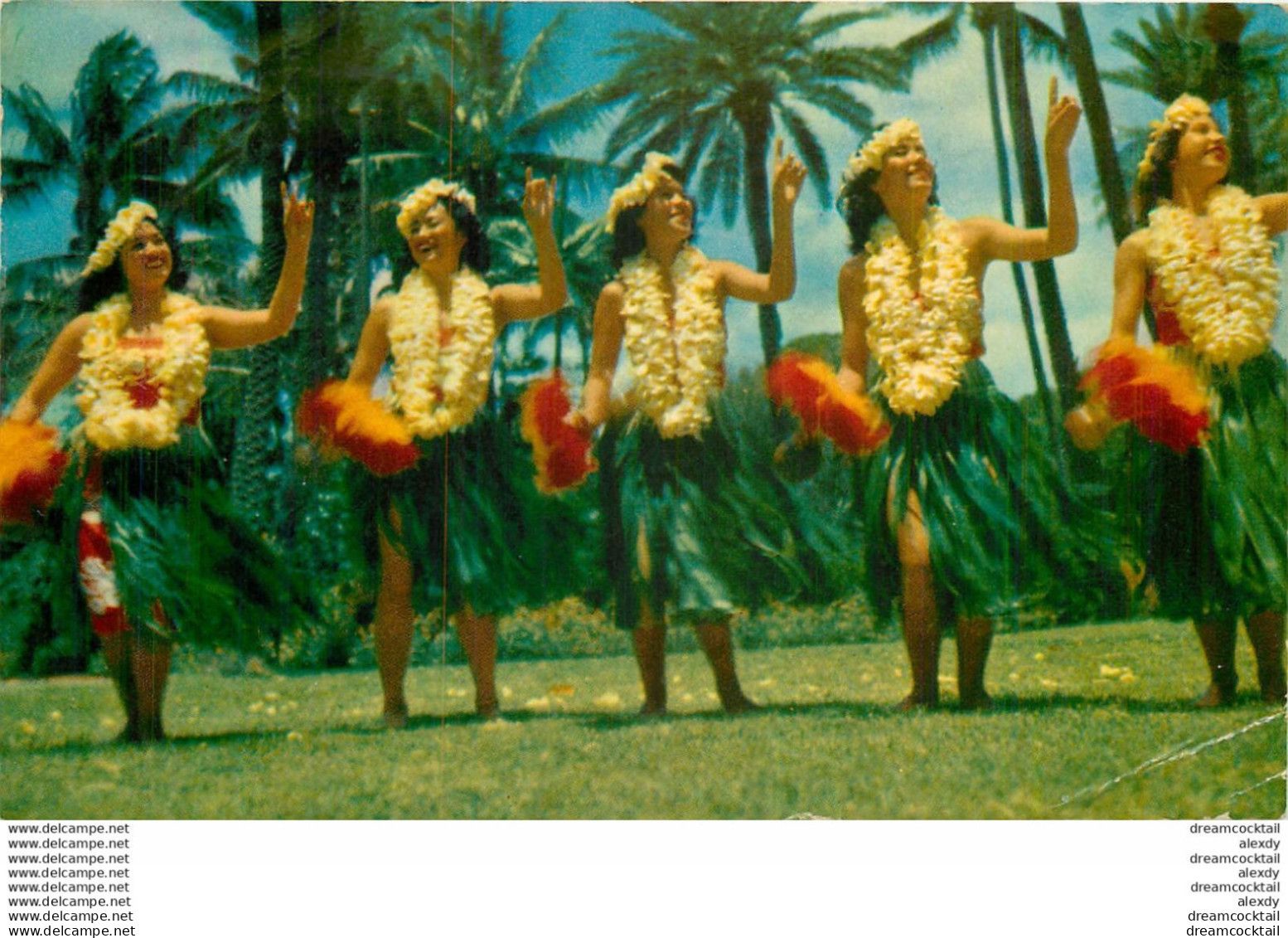 (MI) Photo Cpsm Petit Format. HAWAIIAN DANCERS 1961 - Honolulu