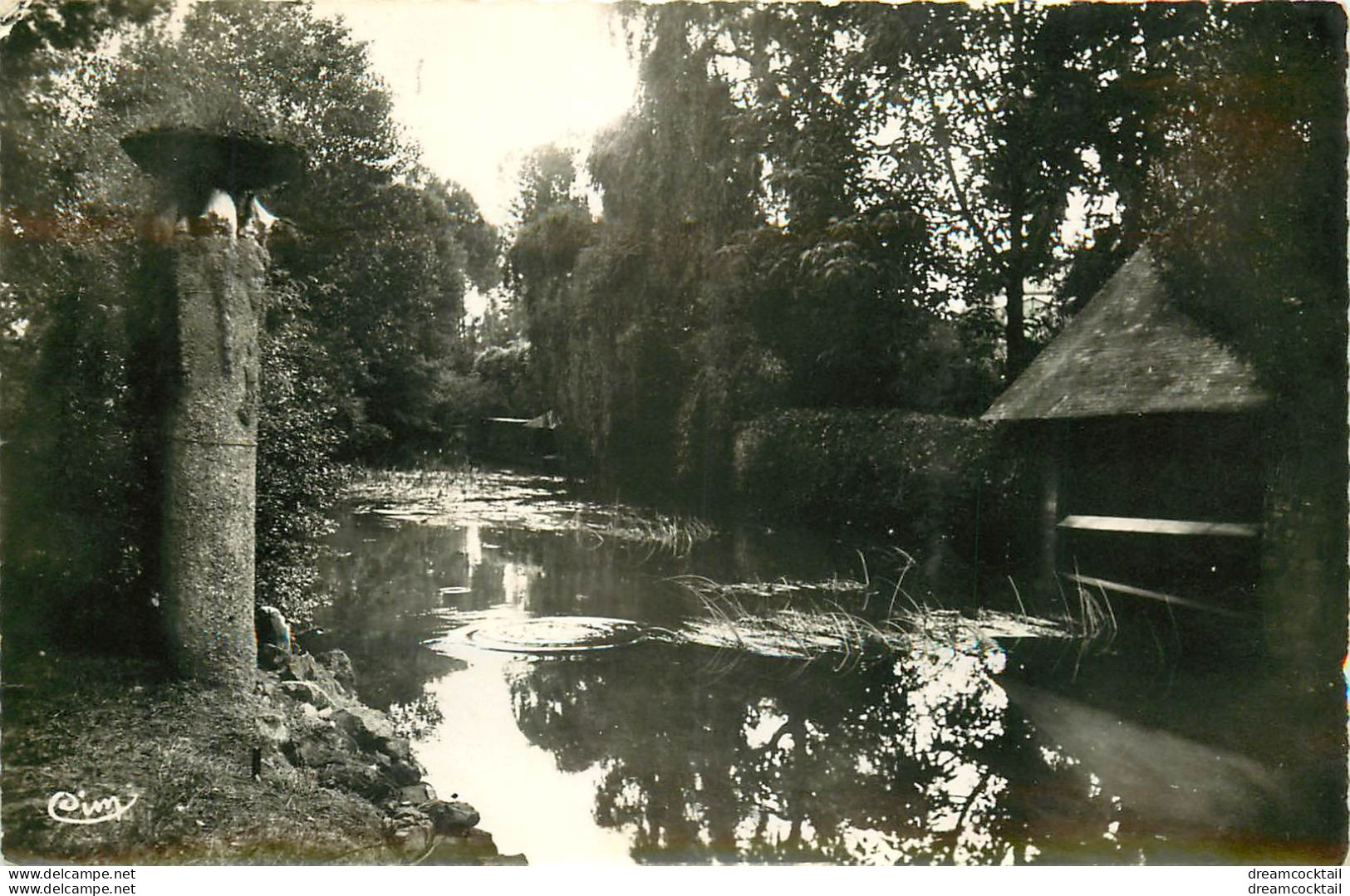 (GA.S) Photo Cpsm Petit Format 72 LOUE. La Vègre 1960 - Loue