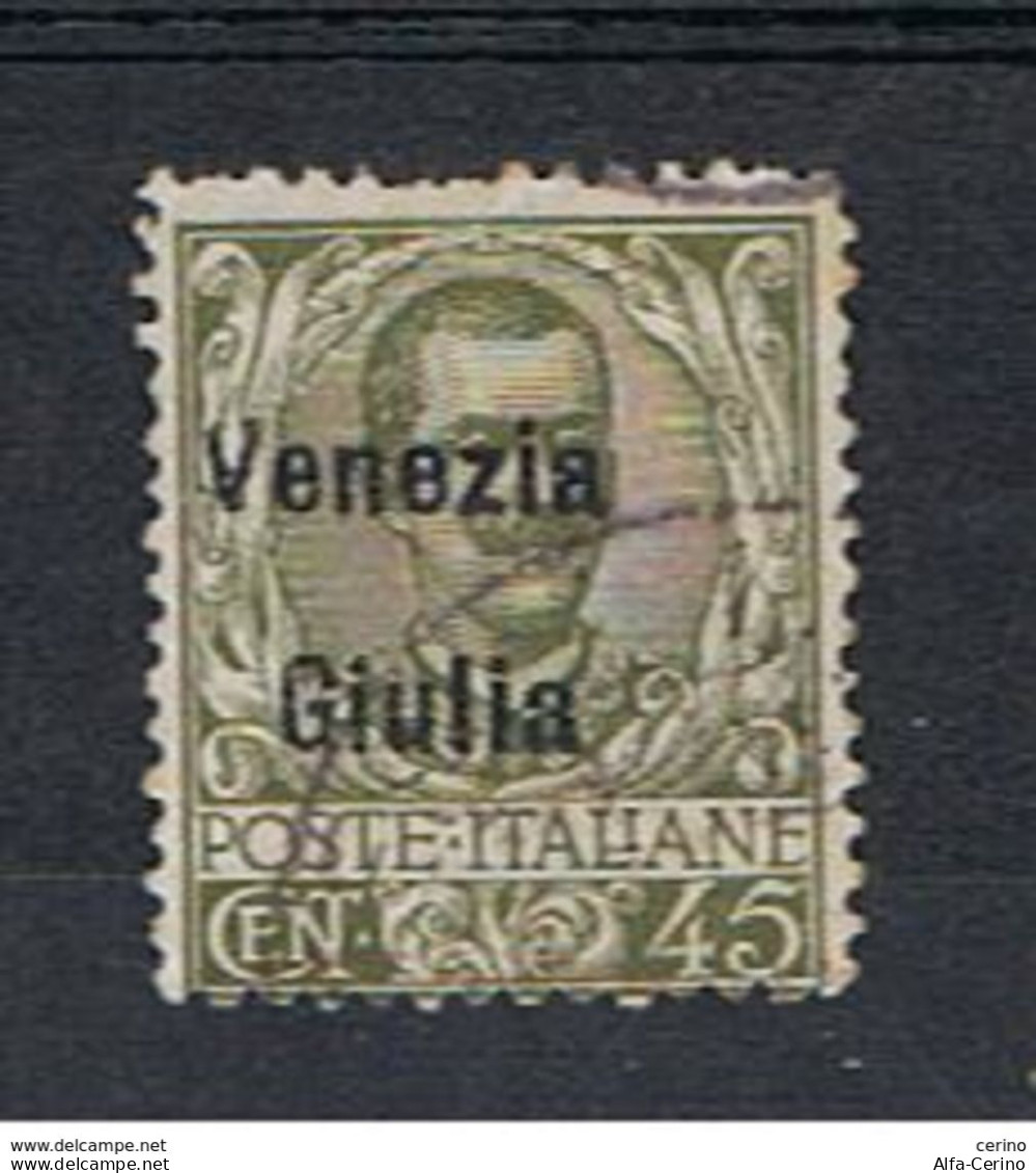 VENEZIA  GIULIA:  1918/19  SOPRASTAMPATO  -  45 C. OLIVA  US. -  SASS. 26 - Venezia Giulia