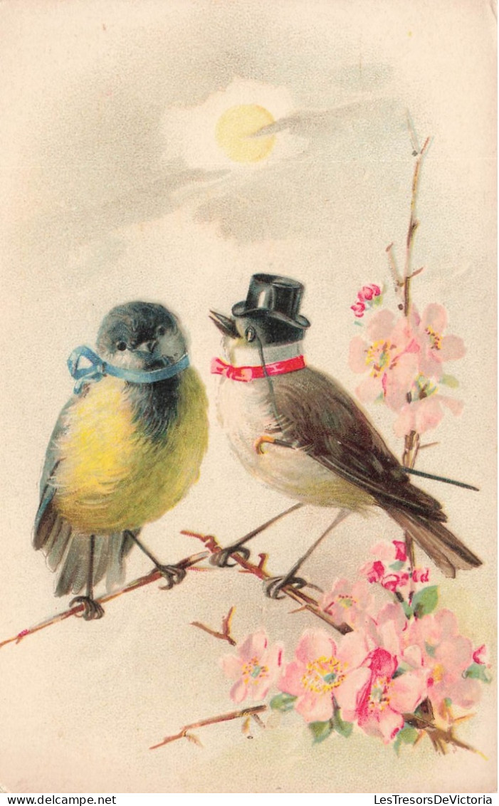 FANTAISIES - Des Oiseaux Avec Des Nœuds Et Chapeau - Colorisé - Carte Postale Ancienne - Animali Abbigliati