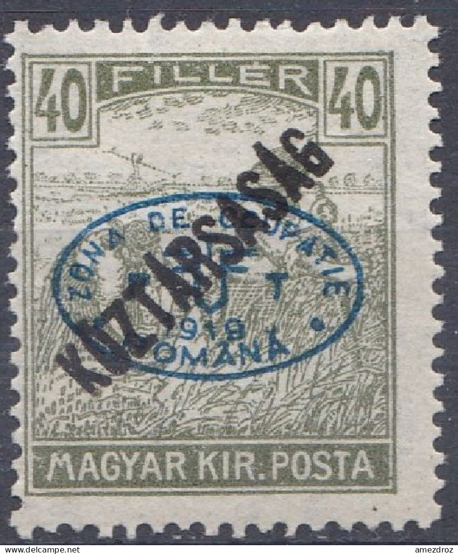 Hongrie Debrecen 1919 N° 50 * Semeurs Köztársaság  (J15) - Debreczen