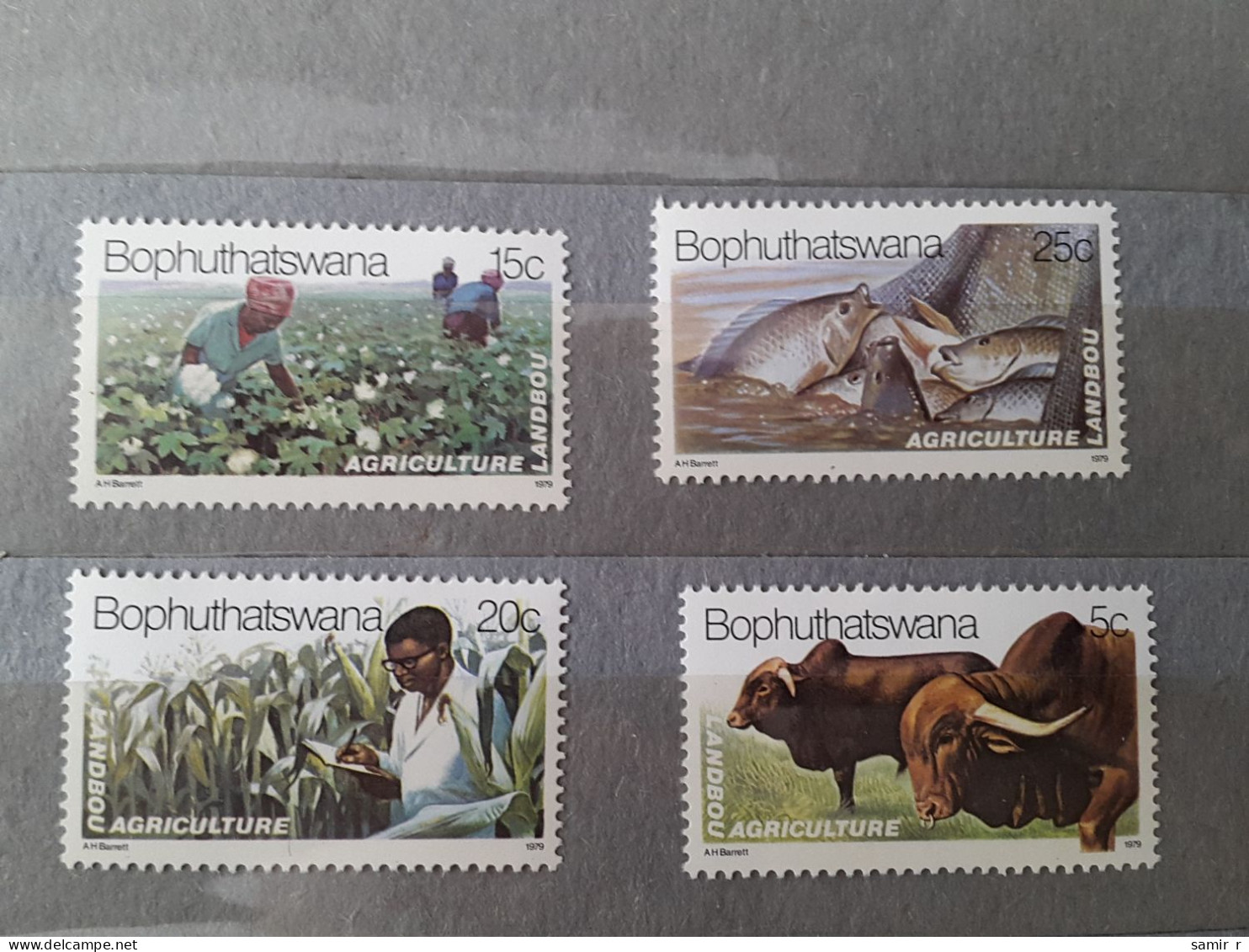 1979	Bophuthatswana Agriculture (F73) - Bophuthatswana