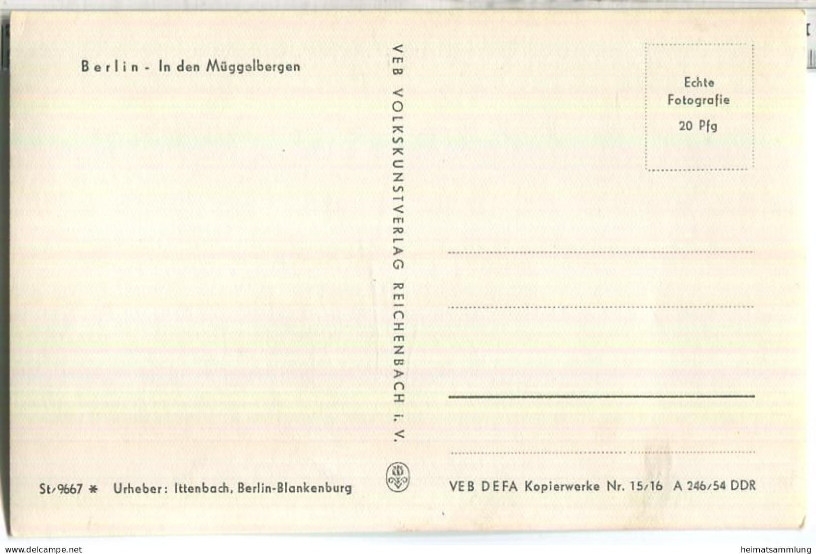 Berlin-Köpenick - Müggelturm - Foto-Ansichtskarte - Verlag VEB Volkskunst Reichenbach - Köpenick