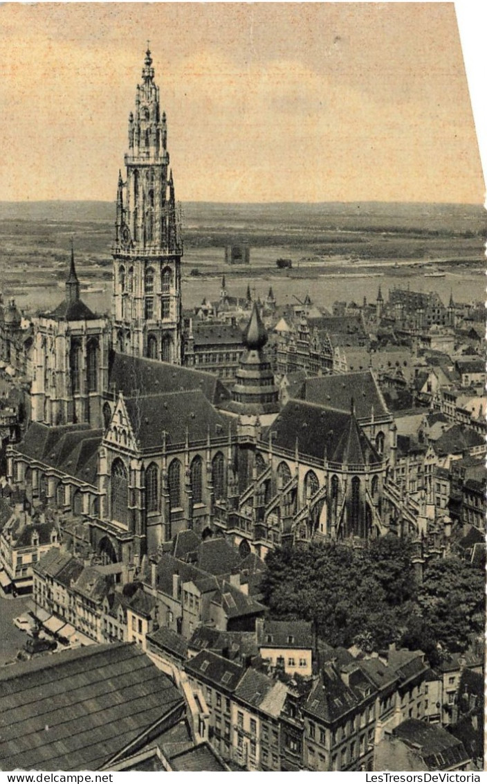 BELGIQUE - Anvers - La Cathédrale Et Panorama De L'Escaut - Carte Postale - Antwerpen