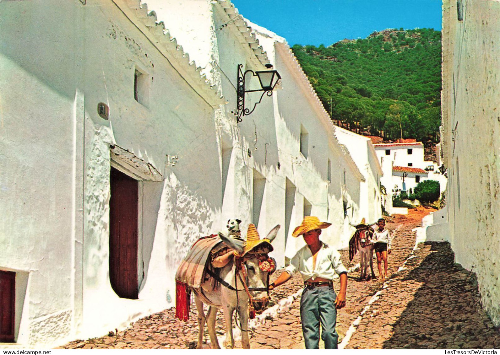 ESPAGNE - Málaga - Mijas - Une Rue Typique - La Sierra Au Fond - Carte Postale Récente - Malaga