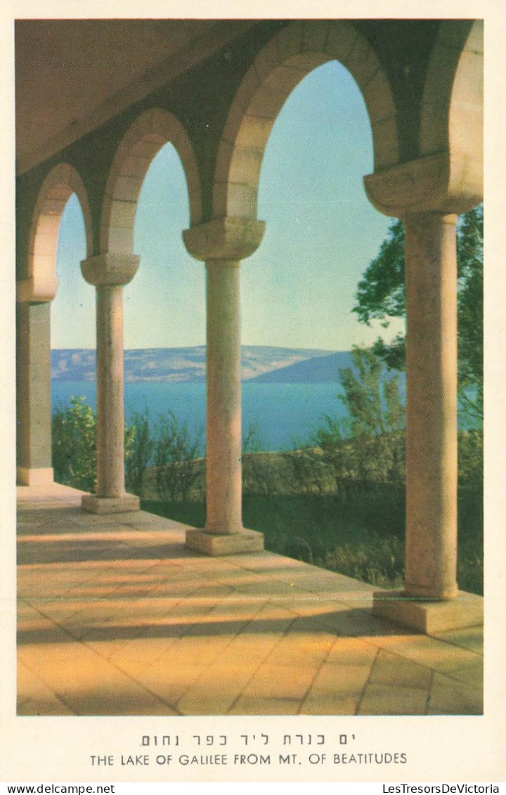 ISRAËL - Le Lac De Galilée Du MT - Carte Postale Récente - Israel