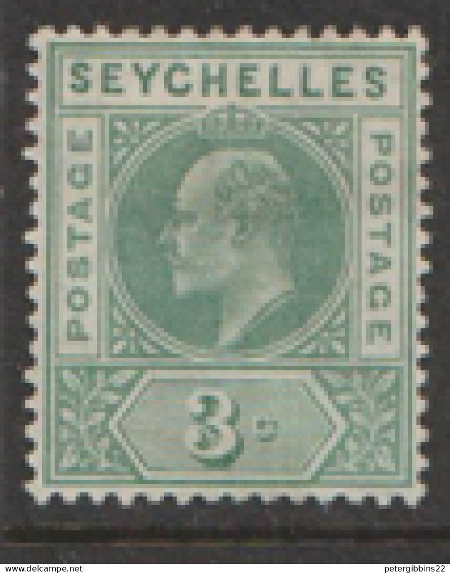 Seychelles  1906  SG  61  3c  Mounted Mint - Seychelles (...-1976)