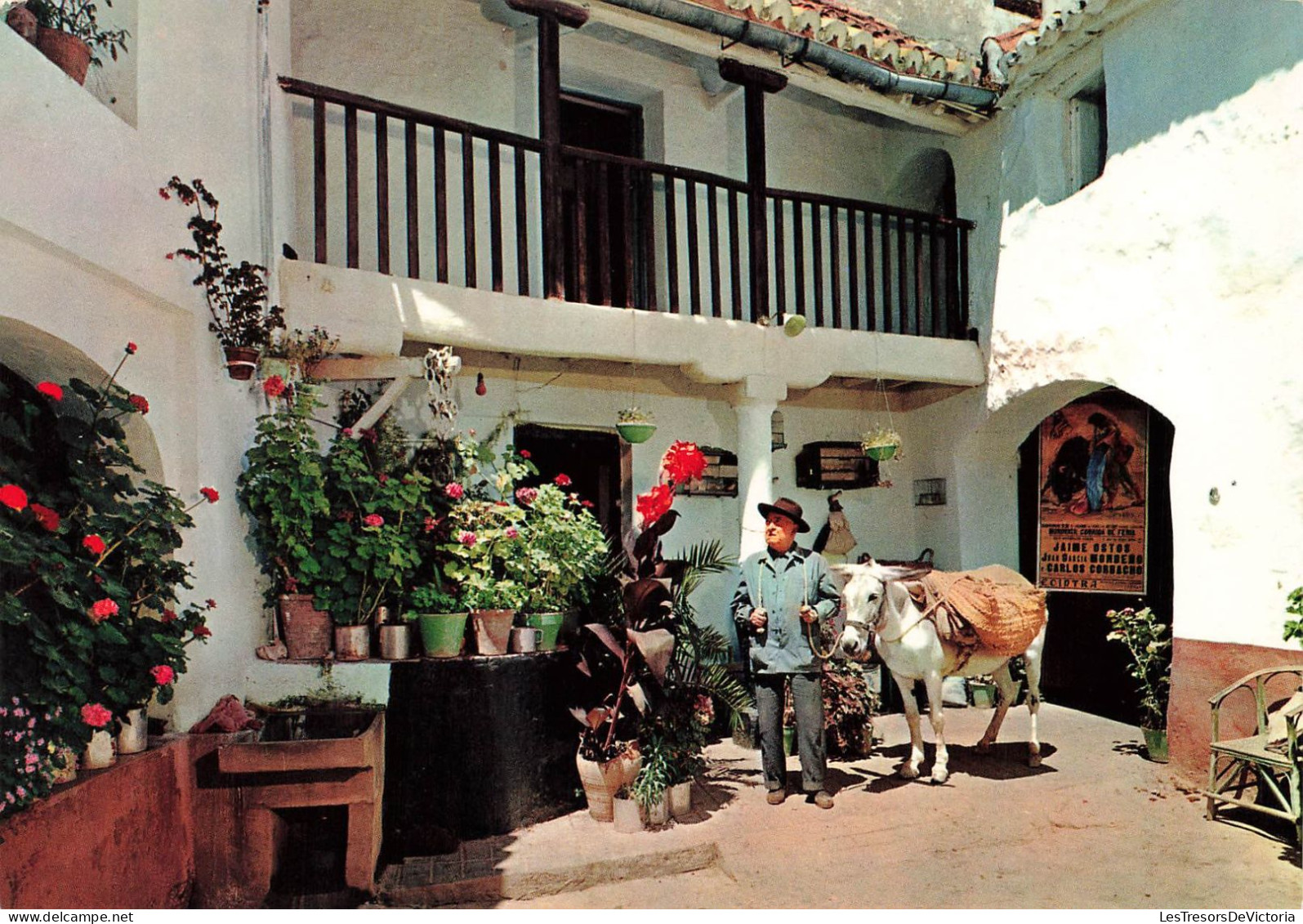 ESPAGNE - Marbella - Ancienne Et Typique Posada - Carte Postale - Málaga