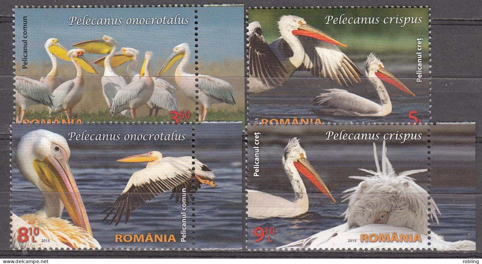 Romania 2015  Birds 6945-48.MNH 21808 - Marine Web-footed Birds