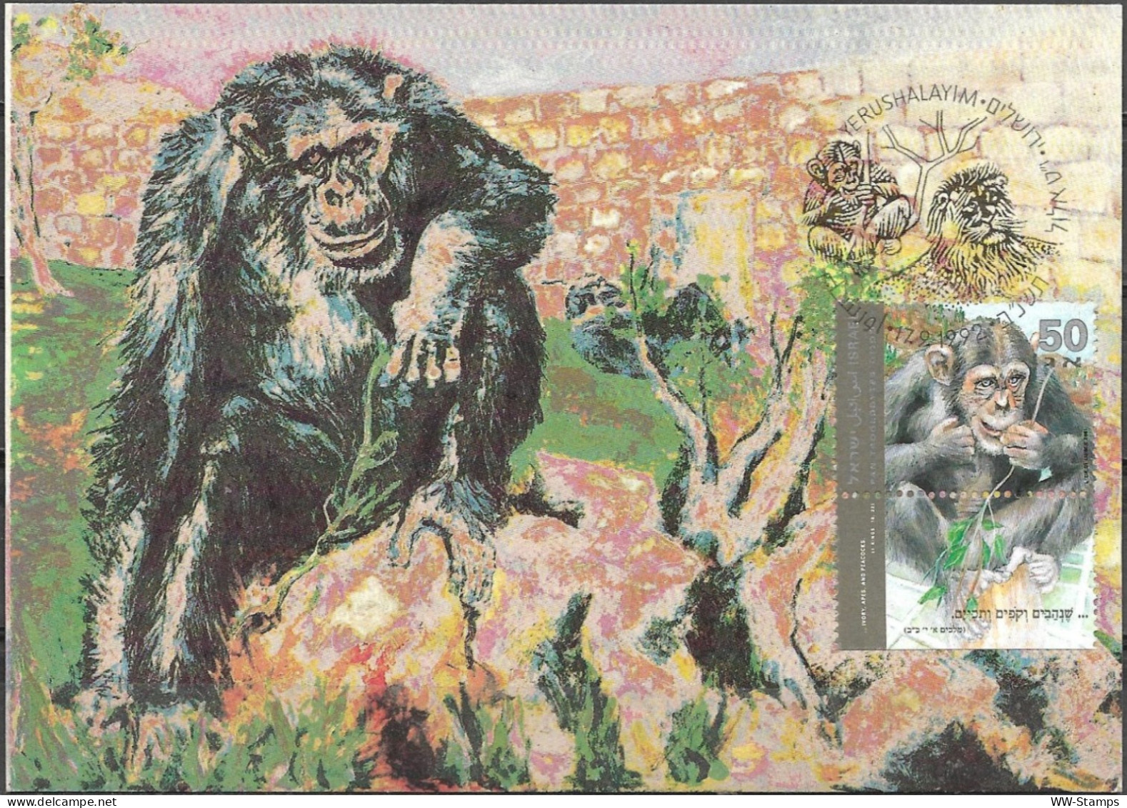 Israel 1992 Maximum Card Chimpanzee Monkeys The Jerusalem Zoo [ILT1640] - Maximumkarten