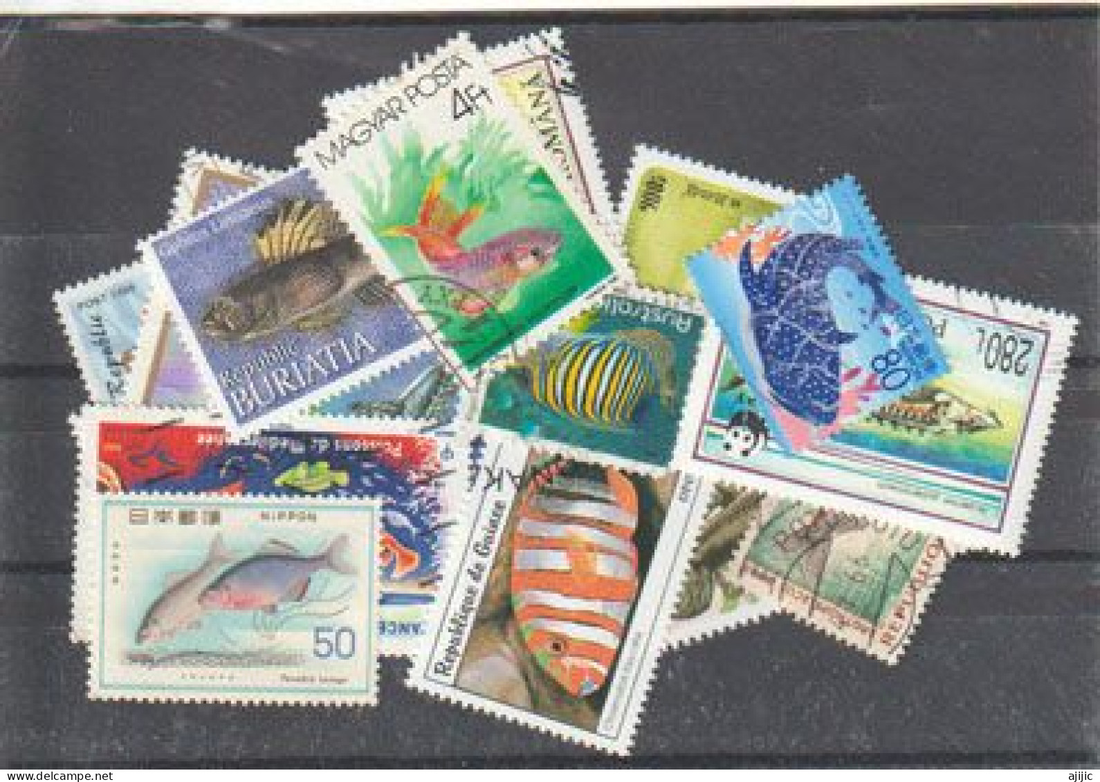 POISSONS. Beau Lot De 20 Timbres Oblitérés, Grands Formats, Tous Differents , 1 ère Qualité.  # 5 - Mezclas (max 999 Sellos)