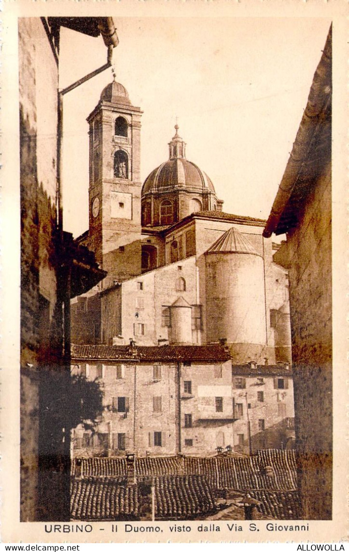 25015 " URBINO-IL DUOMO VISTO DALLA VIA S. GIOVANNI "-VERA FOTO-CART. POST. NON SPED. - Urbino