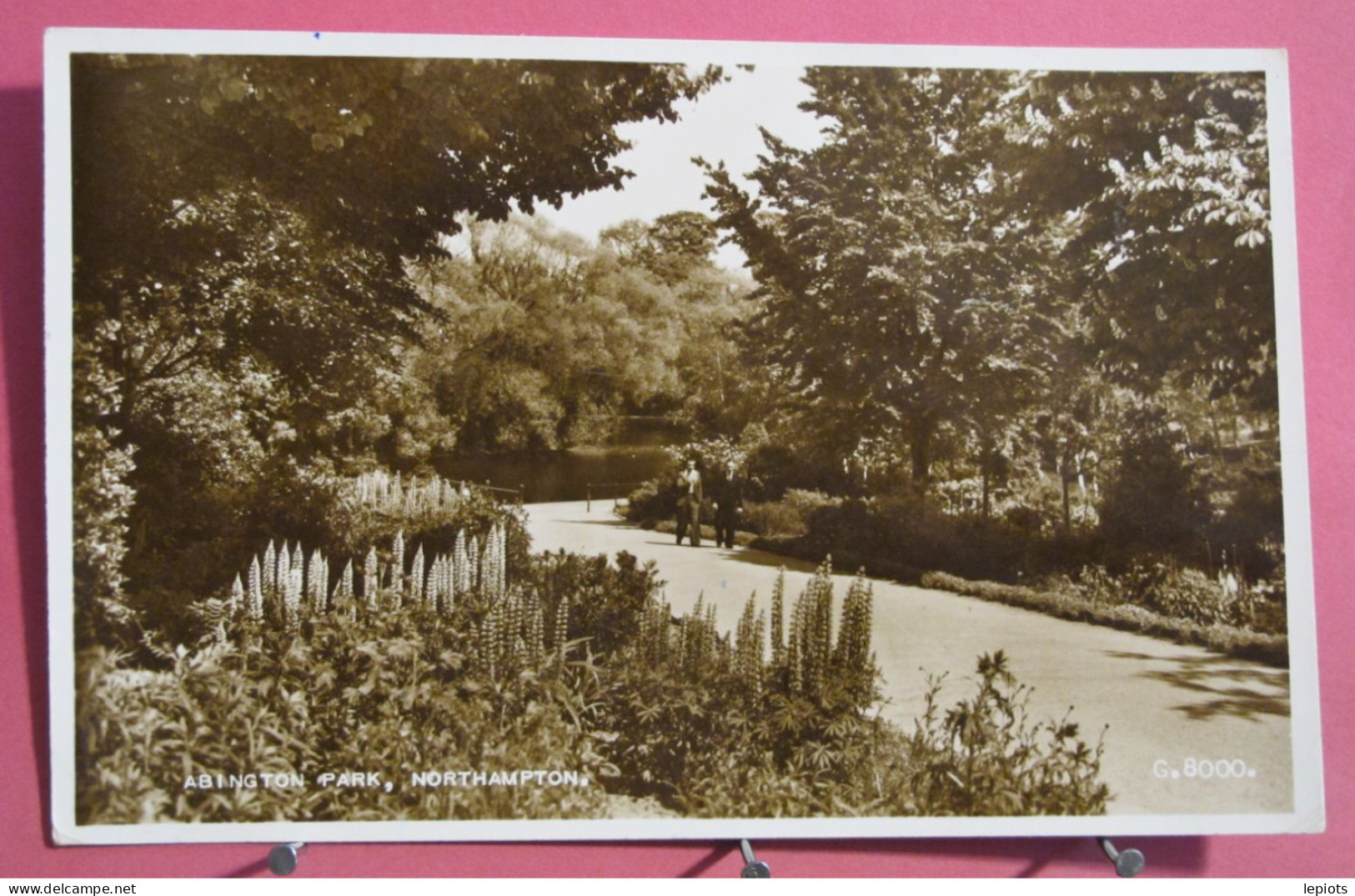 Visuel Très Peu Courant - Angleterre - Northampton - Abington Park - Northamptonshire