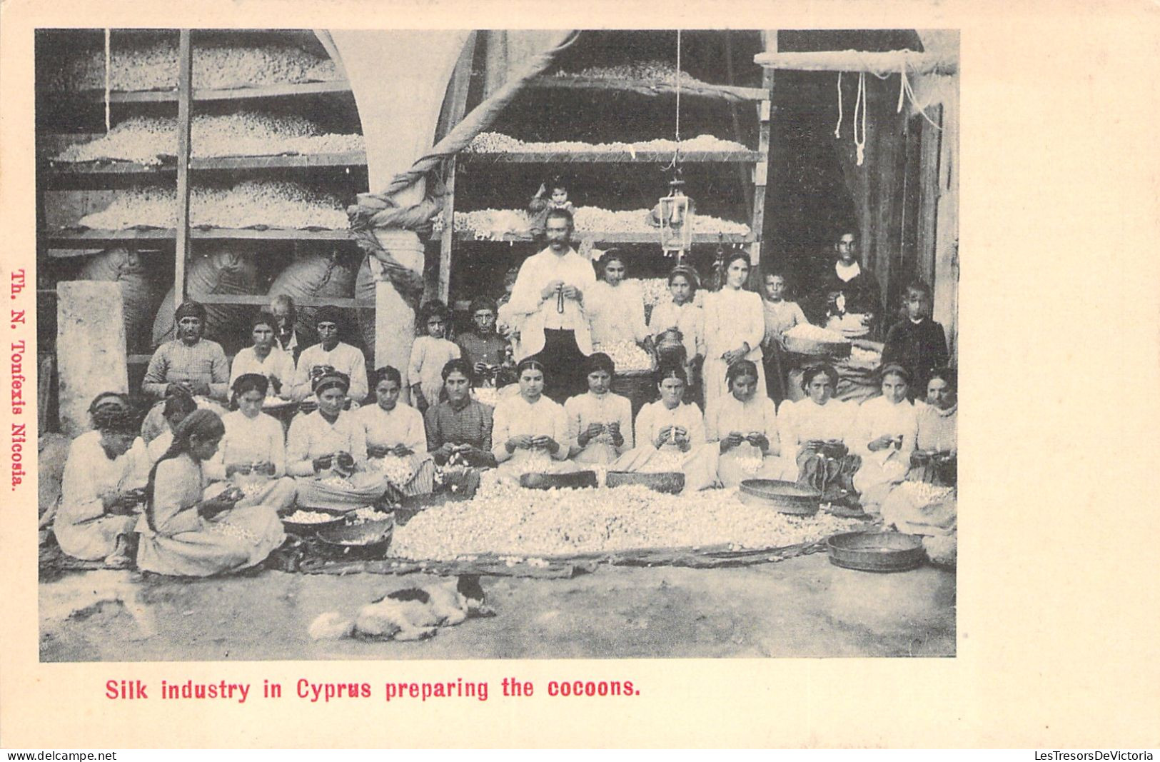 CHYPRE - CYPRUS - Silk Industry In Cyprus Preparing The Cocoons - Carte Postale Ancienne - Chipre